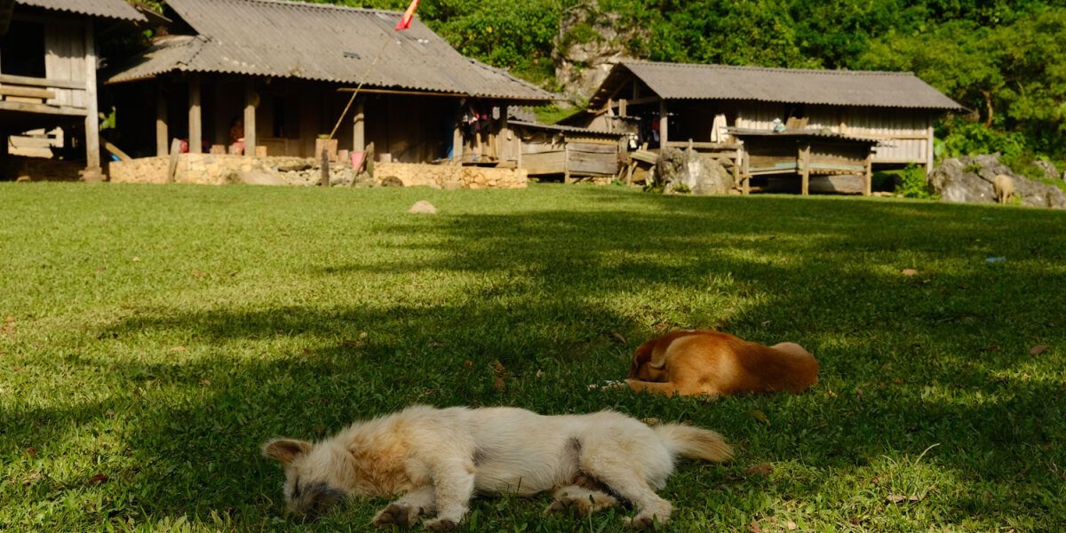origo travel - du lịch và khám phá