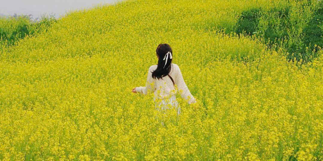 origo travel - du lịch và khám phá